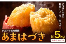 タカハマ観光農園 の あまはづき 5kg タカハマ観光農園《9月下旬-12月末頃出荷》熊本県 大津町 さつまいも 芋 いも イモ あまはづき アマハヅキ 送料無料