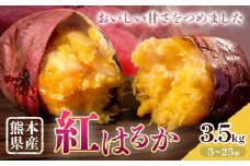 さつまいも 熊本県産 紅はるか 3.5kg 日本フルーツ株式会社《11月下旬-6月上旬頃出荷》熊本県 大津町 さつまいも 薩摩芋 からいも 紅はるか デザート 料理 おやつ 蜜芋 野菜 芋 いも