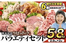 豚肉 うまか ポーク バラエティ セット 豚肉 しゃぶしゃぶ 切り落とし 豚ロース バラ 豚バラ スライス 【2回定期】 約5.8kg(2.9kg×2回)   定期便 真空 お楽しみセット 不揃い 数量限定 簡易包装 冷凍配送 小分け 《2ヶ月定期便(申込み翌月から出荷)》 豚肉