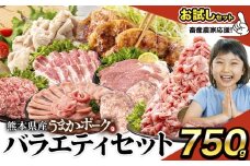 豚肉 うまか ポーク バラエティ セット 豚肉 しゃぶしゃぶ 切り落とし 豚ロース バラ 豚バラ スライス 【お試しセット】約750g  定期便 真空 お楽しみセット 不揃い 数量限定 簡易包装 冷凍配送 小分け 《9月上旬-9月末頃出荷》豚肉