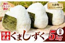 白米 熊本県産 ブレンド米 くましずく 5kg 熊本県産 ふるさと納税 白米 精米 米 こめ ふるさとのうぜい コメ お米 おこめ《9月下旬-11月上旬出荷》