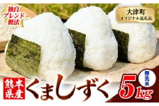 無洗米 熊本県産 ブレンド米 くましずく 5kg 熊本県産 ふるさと納税 無洗米 精米 米 こめ ふるさとのうぜい コメ お米 おこめ《9月下旬-11月上旬出荷》