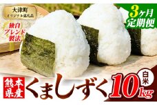 【3ヶ月定期便】白米 熊本県産 ブレンド米 くましずく 10kg 熊本県産 ふるさと納税 白米 精米 米 こめ ふるさとのうぜい コメ お米 おこめ《申込み翌月から発送》