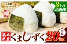 【3ヶ月定期便】白米 熊本県産 ブレンド米 くましずく 20kg 熊本県産 ふるさと納税 白米 精米 米 こめ ふるさとのうぜい コメ お米 おこめ《申込み翌月から発送》