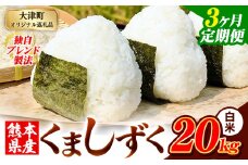 【3ヶ月定期便】白米 熊本県産 ブレンド米 くましずく 20kg 熊本県産 ふるさと納税 白米 精米 米 こめ ふるさとのうぜい コメ お米 おこめ《申込み翌月から発送》