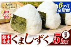【6ヶ月定期便】白米 熊本県産 ブレンド米 くましずく 5kg 熊本県産 ふるさと納税 白米 精米 米 こめ ふるさとのうぜい コメ お米 おこめ《申込み翌月から発送》
