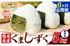 【6ヶ月定期便】無洗米 熊本県産 ブレンド米 くましずく 5kg 熊本県産 ふるさと納税 無洗米 精米 米 こめ ふるさとのうぜい コメ お米 おこめ《申込み翌月から発送》