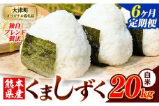 【6ヶ月定期便】白米 熊本県産 ブレンド米 くましずく 20kg 熊本県産 ふるさと納税 白米 精米 米 こめ ふるさとのうぜい コメ お米 おこめ《申込み翌月から発送》