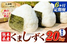 【6ヶ月定期便】無洗米 熊本県産 ブレンド米 くましずく 20kg 熊本県産 ふるさと納税 無洗米 精米 米 こめ ふるさとのうぜい コメ お米 おこめ《申込み翌月から発送》