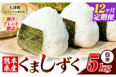 【12ヶ月定期便】白米 熊本県産 ブレンド米 くましずく 5kg 熊本県産 ふるさと納税 白米 精米 米 こめ ふるさとのうぜい コメ お米 おこめ《申込み翌月から発送》