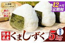【12ヶ月定期便】無洗米 熊本県産 ブレンド米 くましずく 5kg 熊本県産 ふるさと納税 無洗米 精米 米 こめ ふるさとのうぜい コメ お米 おこめ《申込み翌月から発送》