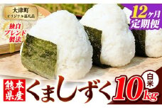 【12ヶ月定期便】白米 熊本県産 ブレンド米 くましずく 10kg 熊本県産 ふるさと納税 白米 精米 米 こめ ふるさとのうぜい コメ お米 おこめ《申込み翌月から発送》