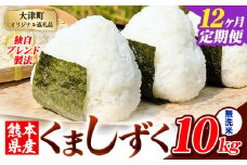 【12ヶ月定期便】無洗米 熊本県産 ブレンド米 くましずく 10kg 熊本県産 ふるさと納税 無洗米 精米 米 こめ ふるさとのうぜい コメ お米 おこめ《申込み翌月から発送》