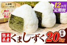 【12ヶ月定期便】白米 熊本県産 ブレンド米 くましずく 20kg 熊本県産 ふるさと納税 白米 精米 米 こめ ふるさとのうぜい コメ お米 おこめ《申込み翌月から発送》