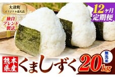 【12ヶ月定期便】無洗米 熊本県産 ブレンド米 くましずく 20kg 熊本県産 ふるさと納税 無洗米 精米 米 こめ ふるさとのうぜい コメ お米 おこめ《申込み翌月から発送》