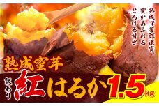 訳あり紅はるか サツマイモ 1.5kg 《2026年1月上旬-5月末頃出荷予定》紅はるか さつまいも 熊本県 大津町 イモ 芋 さつまいも 訳あり