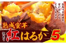 訳あり紅はるか サツマイモ 5kg 《2026年1月上旬-5月末頃出荷予定》紅はるか さつまいも 熊本県 大津町 イモ 芋 さつまいも 訳あり