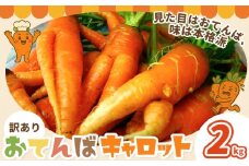 人参 訳あり にんじん ニンジン キャロット 2kg《12月中旬-3月上旬頃出荷》熊本県 大津町 人参 送料無料 にんじん キャロット 熊本県産 にんじん