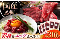 フジチク 国産馬刺し と ユッケのセット 計約310g /  熊本 菊陽 ばさし 肉 ゆっけ 旨 馬 馬肉 赤身 たれ 特製たれ 祝い つまみ 酒 飲み 祝い ご褒美【株式会社フジチク】 [BHAD001]