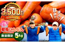【数量限定】菊陽町の春にんじん 5kg / 人参 にんじん ニンジン 菊陽にんじん 春にんじん 5キロ 野菜 熊本県 菊陽町 【有限会社さんふれあ】 [BHAK001]