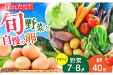 【数量限定】新鮮 卵 と 旬の 野菜 セット (野菜7-8品程度＋40個)  ／  たまご 生卵 タマゴ 詰合せ 詰め合わせ セット 熊本県 特産品 【有限会社さんふれあ】 [BHAK002]