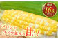 高糖度 かんかんむすめ 糖度 コーンスープ 甘さ コーン おやつ BBQ バター焼き 野菜 とうもろこし 糖度  菊陽町