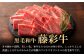 牛肉 焼肉 藤彩牛 黒毛和牛 焼肉用 ブランド牛 特産品 熊本県 菊陽町