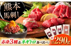 【熊本特産】赤身馬刺し3種とネギトロの詰め合わせ 3891 / 肉 馬肉 ネギトロ 馬刺し 赤身 バサシ たれ付き ロース ランプ 特産品 熊本県 菊陽町【株式会社フジチク】 [BHAD020]