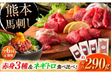 【全6回定期便】【熊本特産】赤身馬刺し3種とネギトロの詰め合わせ 3891 / ねぎ 熊本県 菊陽町 ばさし 馬刺 うま にく 肉 とろ お祝 ご褒美 つまみ【株式会社フジチク】 [BHAD067]