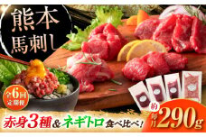 【全6回定期便】【熊本特産】赤身馬刺し3種とネギトロの詰め合わせ 3891 / ねぎ 熊本県 菊陽町 ばさし 馬刺 うま にく 肉 とろ お祝 ご褒美 つまみ【株式会社フジチク】 [BHAD067]