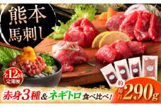 【全12回定期便】【熊本特産】赤身馬刺し3種とネギトロの詰め合わせ 3891 / ねぎ 熊本県 菊陽町 ばさし 馬刺 うま にく 肉 とろ お祝 ご褒美 つまみ【株式会社フジチク】 [BHAD068]