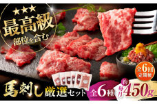【全6回定期便】「熊本特産」馬刺し専門店厳選の6種セット 3893 / 特産 熊本県 菊陽町 ばさし 馬刺 専用 たれ ランプ トロ 新鮮 祝い ご褒美 脂 旨【株式会社フジチク】 [BHAD073]
