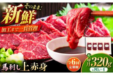 【全6回定期便】フジチク ふじ 馬刺し 上赤身 4個 セット 計約320g / ばさし 熊本県 菊陽町 にく 肉 バサシ あかみ 新鮮  うま 旨  ウマ タレ 特製【株式会社フジチク】 [BHAD091]