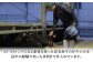 黒毛和牛 牛肉 国産 にく ぎゅう オリジナル 脂 甘 もも 熊本県 菊陽町