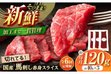 【全6回定期便】まな板不要! フジチク 切れてる 国産馬刺し 3P 計約120g / 定期便 専用醤油付き 生姜付き おすすめ 馬刺 赤身 国産 赤身馬刺し ばさし 冷凍 熊本県 菊陽町【株式会社フジチク】 [BHAD103]