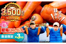 【数量限定】菊陽町の春にんじん(菊陽にんじん) 約3kg / 人参 にんじん ニンジン 菊陽にんじん 春にんじん 3キロ 野菜 キャロット サラダ 甘い 熊本県 菊陽町【有限会社さんふれあ】 [BHAK003]