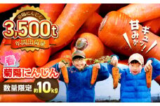 【数量限定】菊陽町の春にんじん 約10kg / 人参 にんじん ニンジン 菊陽にんじん 春にんじん 10キロ 野菜 キャロット サラダ 甘い 熊本県 菊陽町【有限会社さんふれあ】 [BHAK004]