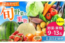 【全3回定期便】【数量限定】菊陽町特産品 「野菜・果物などの詰め合わせ」 / 新鮮 詰合せ フルーツ セット 旬 おまかせ にんじん ごぼう 直売所 やさい 野菜 くだもの 果実 熊本県 特産品 菊陽町【有限会社さんふれあ】 [BHAK007]