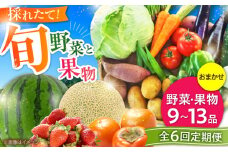【全6回定期便】【数量限定】菊陽町特産品 「野菜・果物などの詰め合わせ」 / 新鮮 詰合せ フルーツ セット 旬 おまかせ にんじん ごぼう 直売所 やさい 野菜 くだもの 果実 熊本県 特産品 菊陽町【有限会社さんふれあ】 [BHAK008]