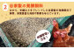 卵 ぷりぷり 新鮮 玉子 オムレツ たまごかけごはん 朝食 鶏卵 タンパク質 平飼い 濃厚 こく 熊本県 菊陽町
