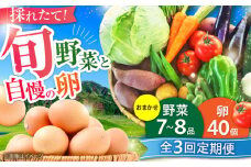 【全3回定期便】【数量限定】新鮮たまごと旬の野菜セット(野菜7~8品程度＋40個) / たまご 生卵 タマゴ 詰合せ セット 野菜 新鮮 旬 定期便 熊本県 特産品【有限会社さんふれあ】 [BHAK009]