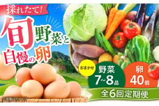 【全6回定期便】【数量限定】【新鮮たまごと旬の野菜セット(野菜7~8品程度＋40個) / 菊陽町 たまご 生卵 タマゴ 詰合せ セット 新鮮 季節 やさい ヤサイ 料理 調理 前菜 副菜 旬 卵 タマゴ 特産 熊本県 特産品【有限会社さんふれあ】 [BHAK010]