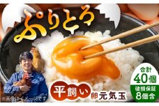 平飼い新鮮たまご 元気玉 計40個(10個×4パック) / 卵 ぷりぷり 新鮮 玉子 オムレツ たまごかけごはん 朝食 鶏卵 タンパク質 平飼い 濃厚 こく 熊本県 菊陽町【ぴよっこファーム】 [BHAP002]