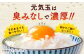 卵 ぷりぷり 新鮮 玉子 オムレツ たまごかけごはん 朝食 鶏卵 タンパク質 平飼い 濃厚 こく 熊本県 菊陽町