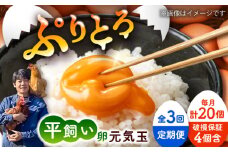 【全3回定期便】平飼い新鮮たまご　元気玉 計20個(10個×2パック) / 卵 ぷりぷり 新鮮 玉子 オムレツ たまごかけごはん 朝食 鶏卵 平飼い 濃厚 こく 熊本県 菊陽町【ぴよっこファーム】 [BHAP003]