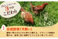 定期便 卵 ぷりぷり 新鮮 玉子 オムレツ たまごかけごはん 朝食 鶏卵 タンパク質 平飼い 濃厚 こく 熊本県 菊陽町