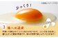 定期便 卵 ぷりぷり 新鮮 玉子 オムレツ たまごかけごはん 朝食 鶏卵 タンパク質 平飼い 濃厚 こく 熊本県 菊陽町