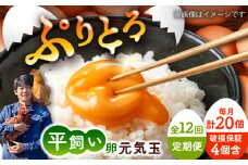 【全12回定期便】平飼い新鮮たまご　元気玉 計20個(10個×2パック) / 卵 ぷりぷり 新鮮 玉子 オムレツ たまごかけごはん 朝食 鶏卵 平飼い 濃厚 こく 熊本県 菊陽町【ぴよっこファーム】 [BHAP005]