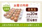 定期便 卵 ぷりぷり 新鮮 玉子 オムレツ たまごかけごはん 朝食 鶏卵 タンパク質 平飼い 濃厚 こく 熊本県 菊陽町