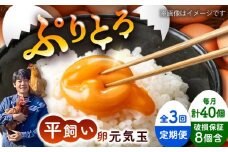 【全3回定期便】平飼い新鮮たまご 元気玉 計40個(10個×4パック) / 卵 ぷりぷり 新鮮 玉子 オムレツ たまごかけごはん 朝食 鶏卵 平飼い 濃厚 こく 熊本県 菊陽町【ぴよっこファーム】 [BHAP006]